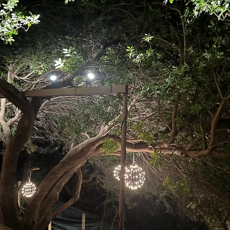 Aptos El Manantial